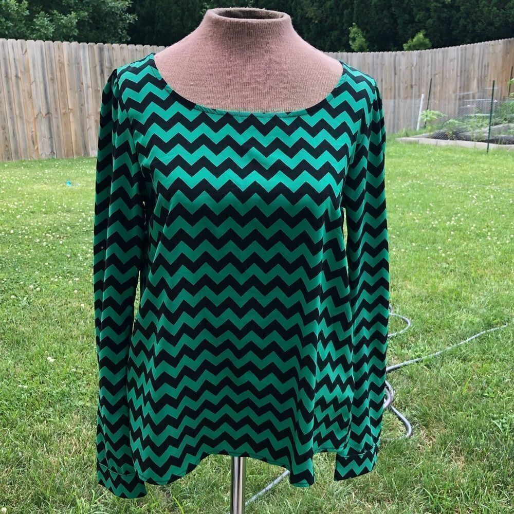 FRANCESCA’S open back long sleeve blouse